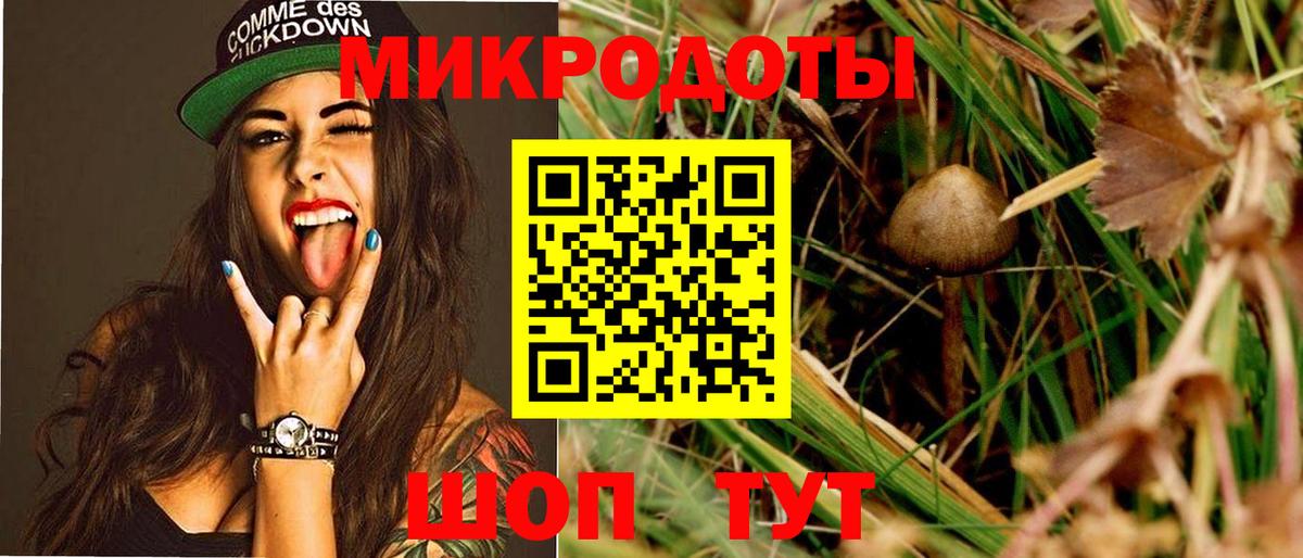 Черняховск  Галлюциногенные грибы Magic Shrooms  Вход с VPN 
