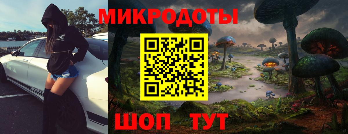 Псилоцибиновые грибы мухоморы Черняховск